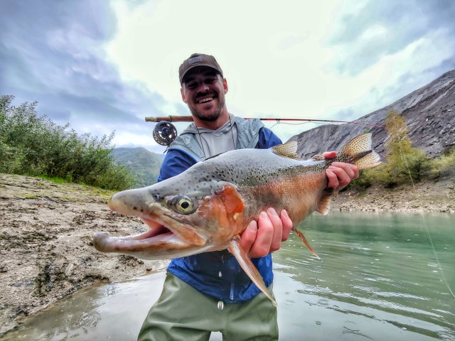 big male rainbow.